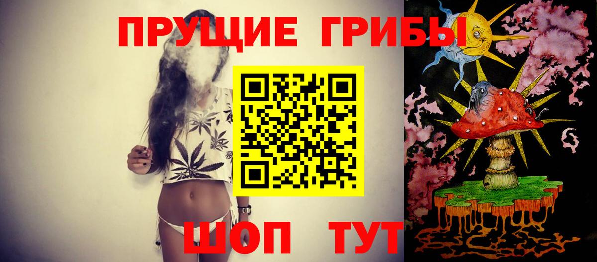 Галлюциногенные грибы Cubensis Донецк