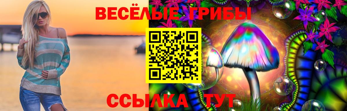 Донецк  Галлюциногенные грибы MAGIC MUSHROOMS  где продают наркотики  Вход с VPN  Псилоцибиновые грибы GOLDEN TEACHER 